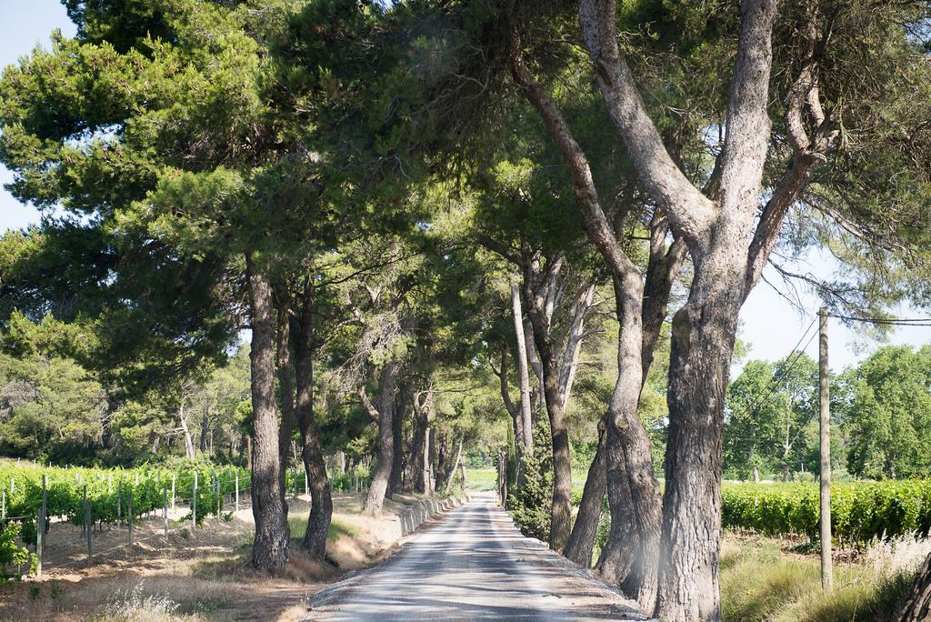 Château Canet Vila Rustiques Exterior foto